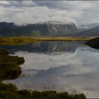 Fog and Mirrors