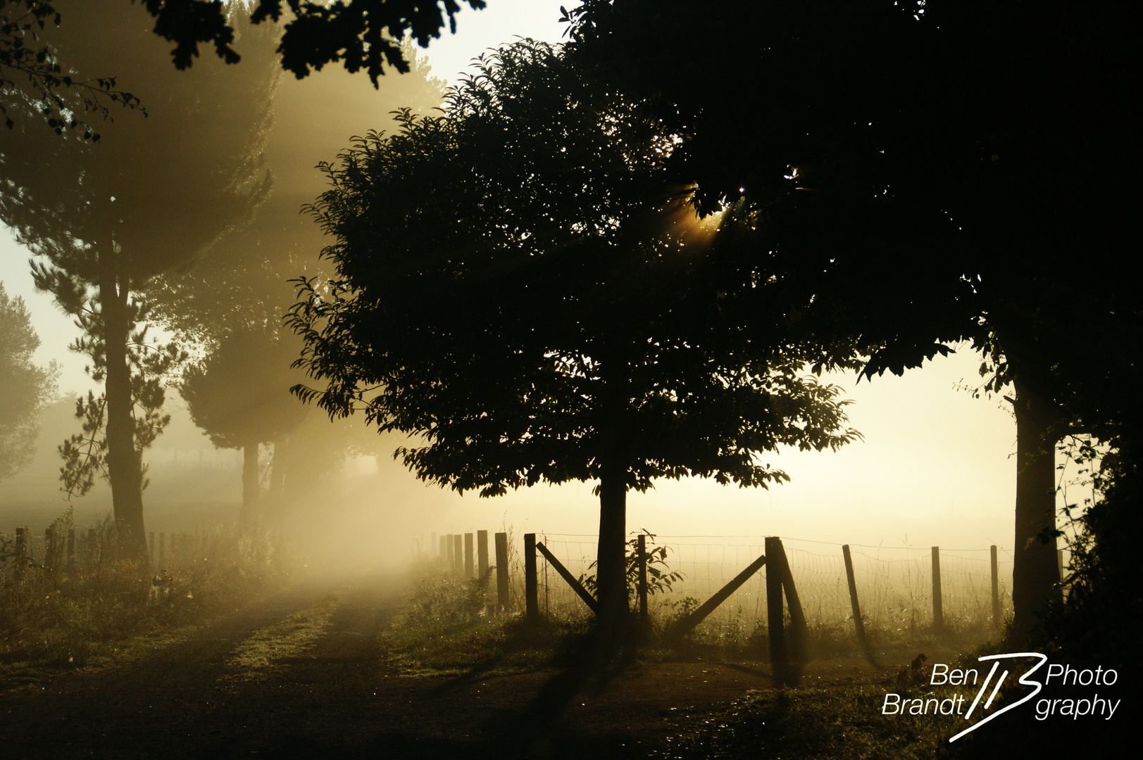 Fog and Sun - Nebel und Sonne