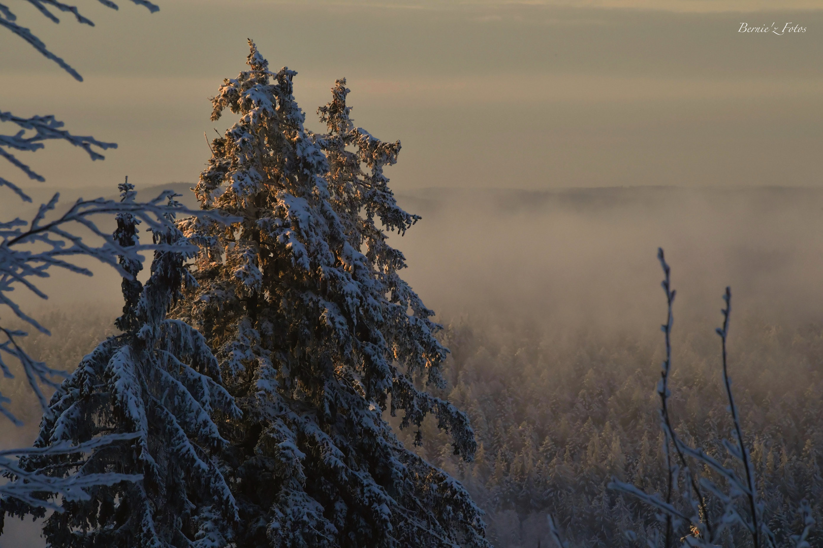 Fog and sunrise