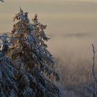 Fog and sunrise