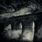 Fog and trains