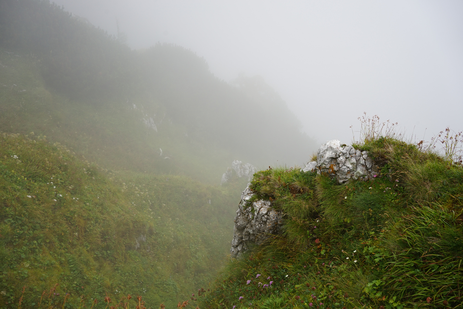 Fog at Hochschneeberg, 1812 m