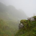 Fog at Hochschneeberg, 1812 m