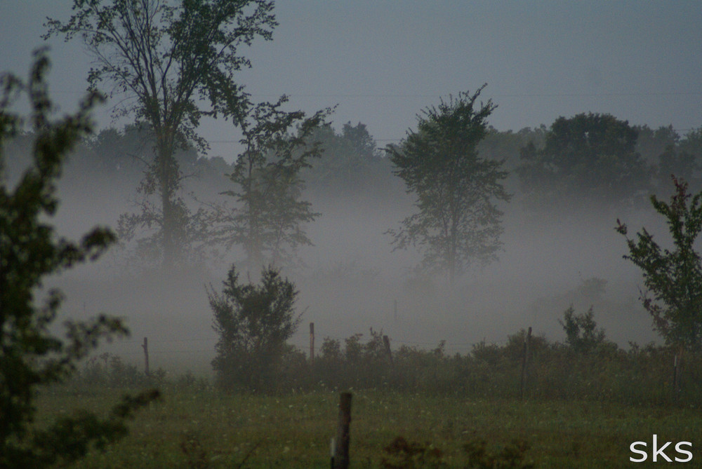 Fog at Sunrise