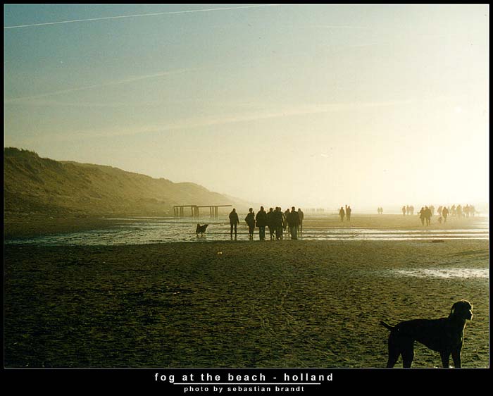 fog at the beach - holland series