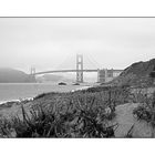 Fog at the Golden Gate Bridge