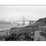 Fog at the Golden Gate Bridge