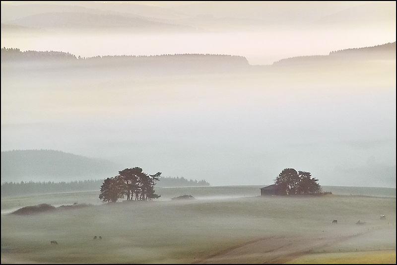 FOG AT THE GROUND