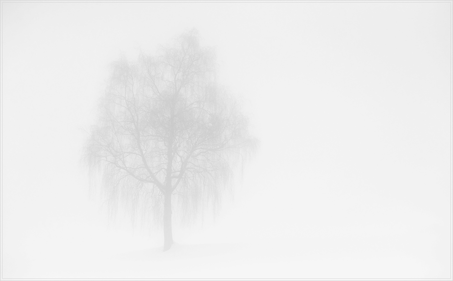 [ fog ]
