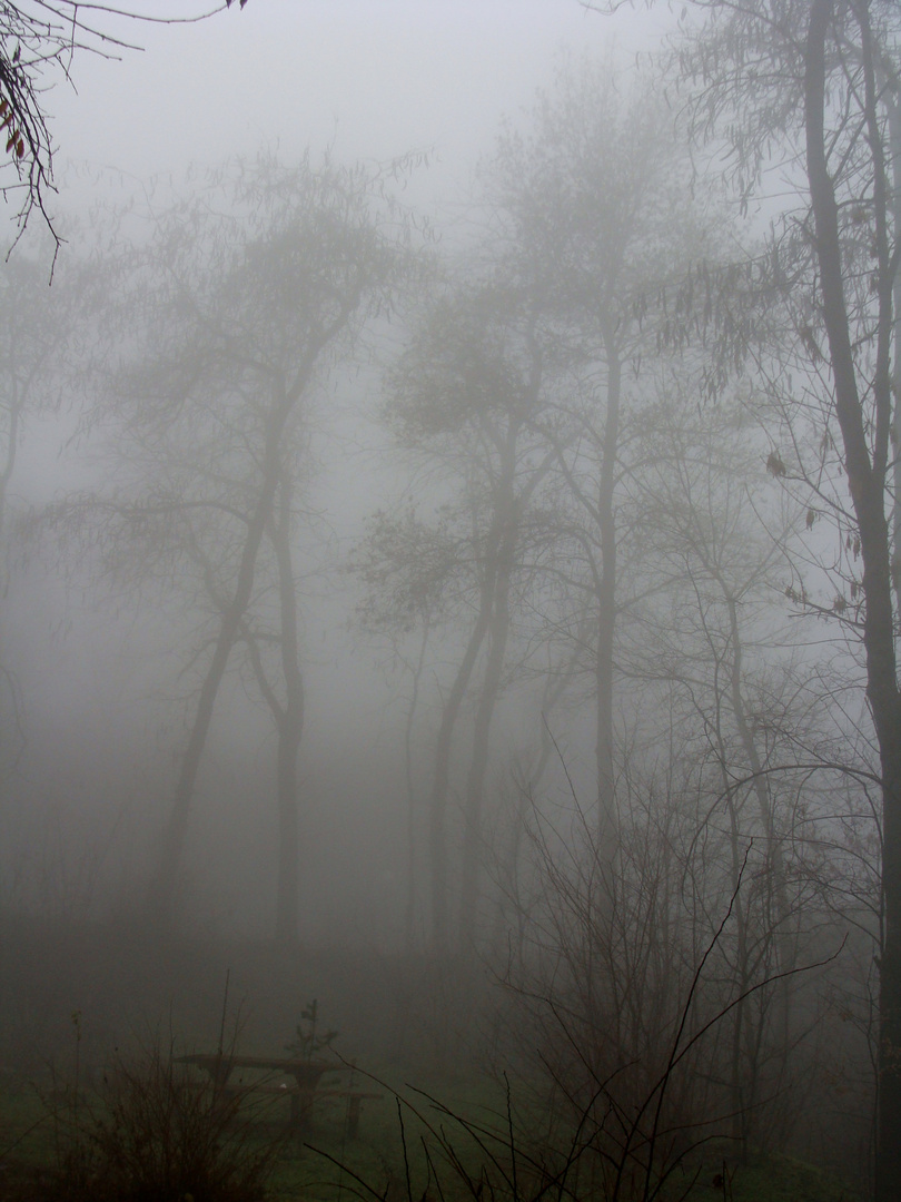 Fog City Skopje