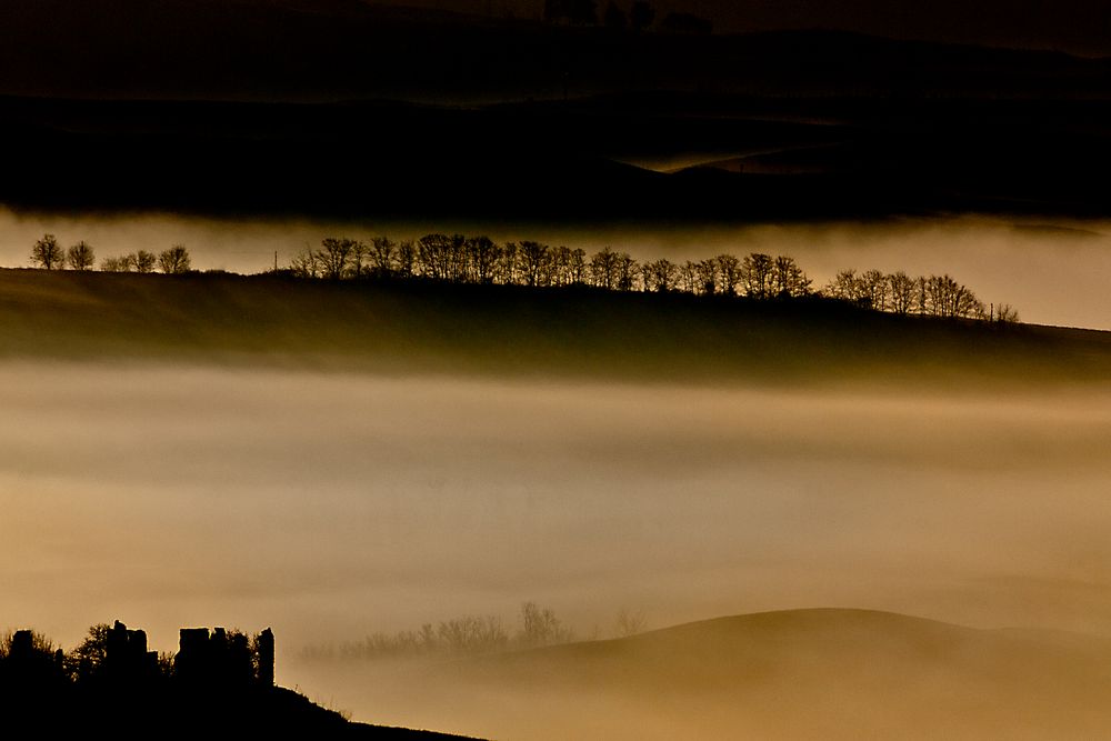 fog dawn^