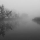 *fog II*