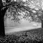 Fog in autumn 2