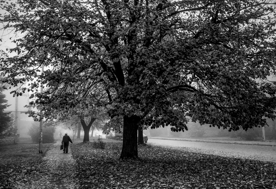 Fog in autumn