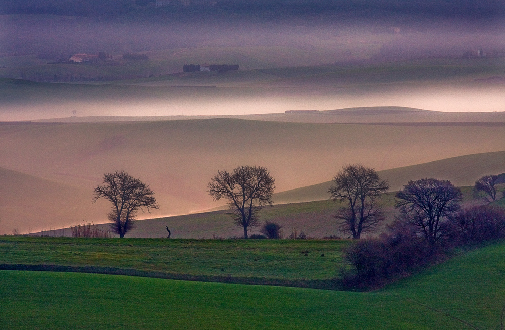 fog in hill