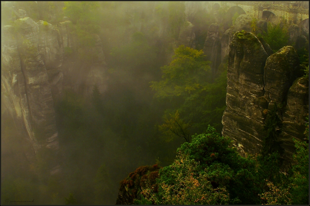 fog in the canyon