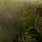 fog in the canyon