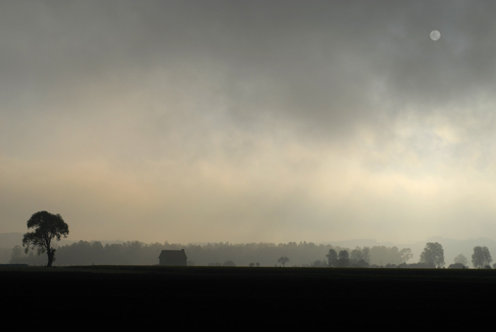 Fog in the morning von Claudia Steinle