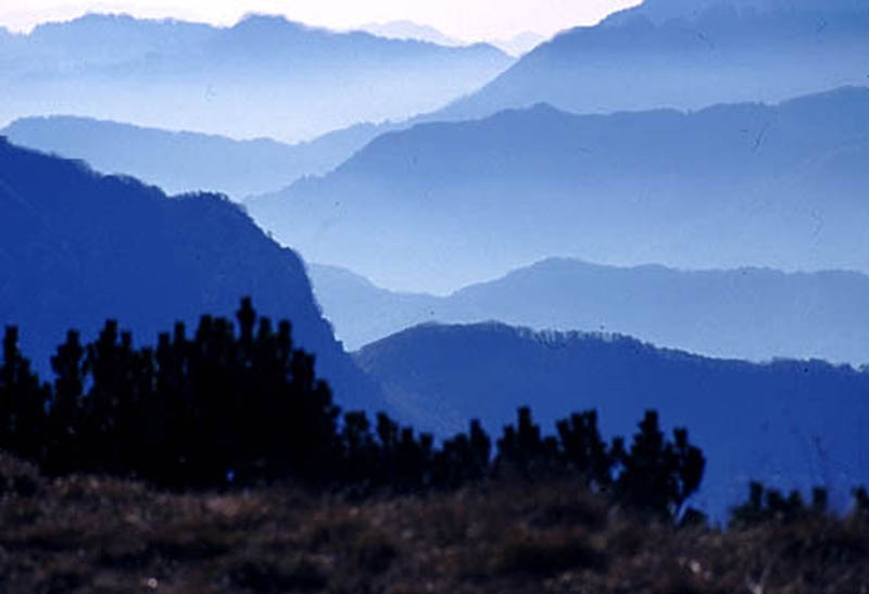 Fog in the mountains