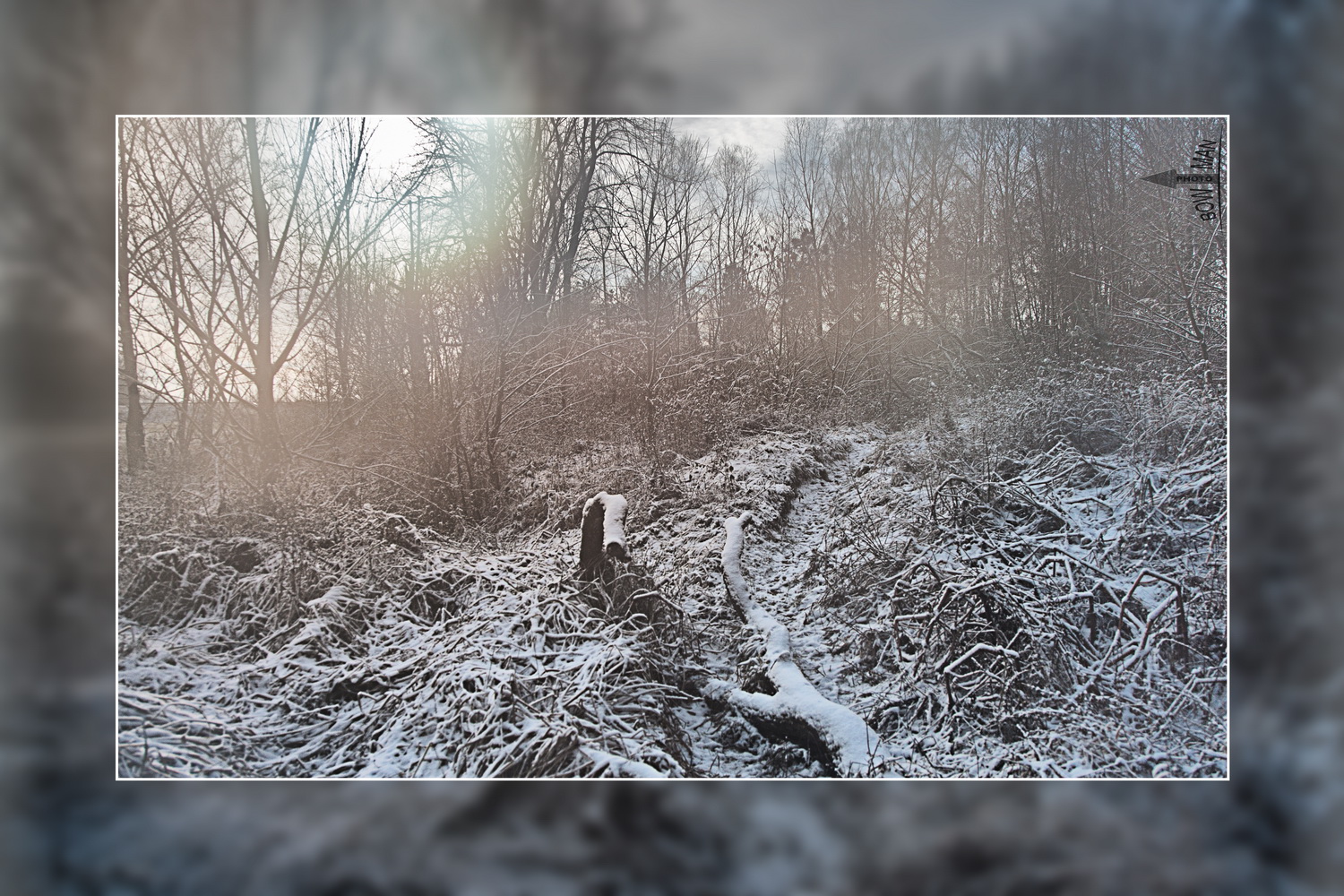 Fog in the winter sunlight