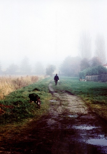 Fog laden path