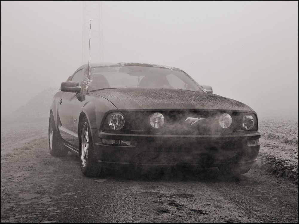 Fog lights