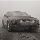 Fog lights