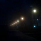 Fog moods I