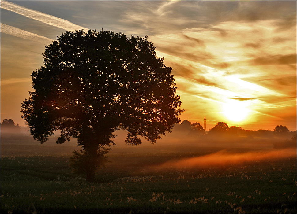 Fog - Nebel des Grauens