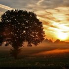 Fog - Nebel des Grauens