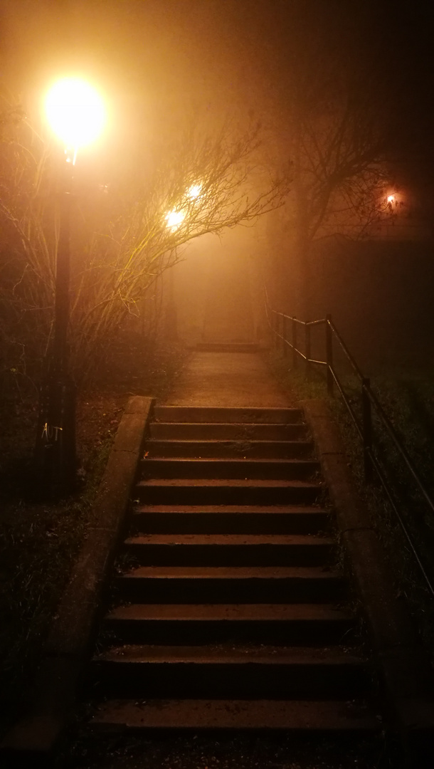 fog, night and light