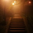 fog, night and light