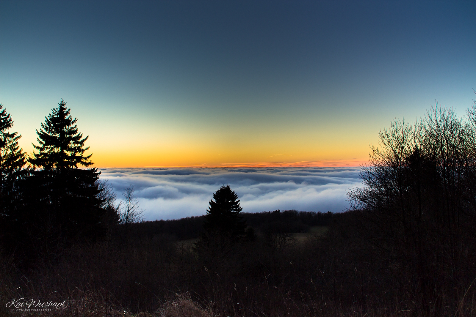 Fog Ocean