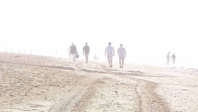 fog on the beach