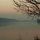 fog on the lake