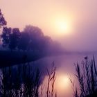 Fog on the river