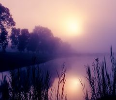 Fog on the river