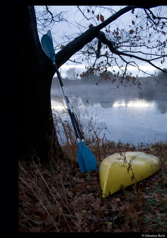 fog on the water