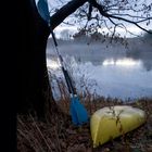 fog on the water