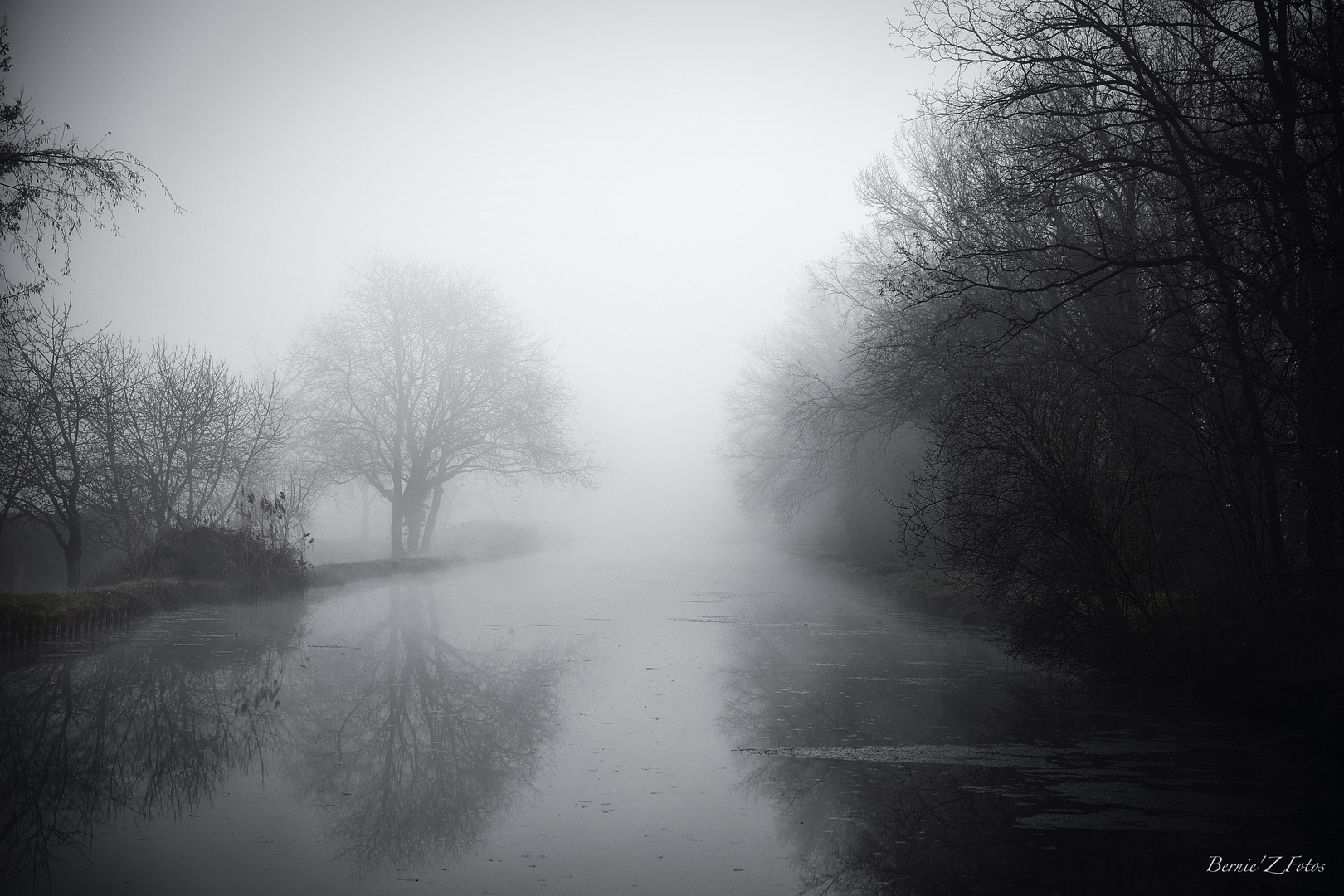 Fog on the water