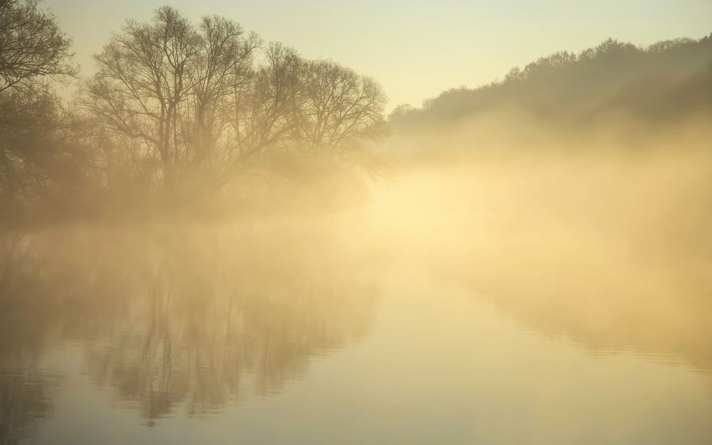 fog on the water