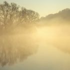 fog on the water