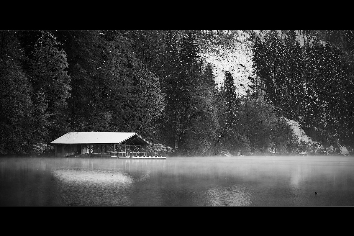 Fog over Lake