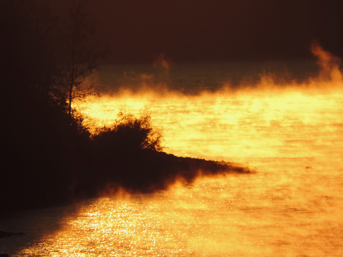 Fog over Mississinewa Lake