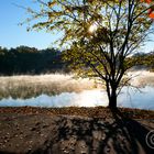 Fog over the pond