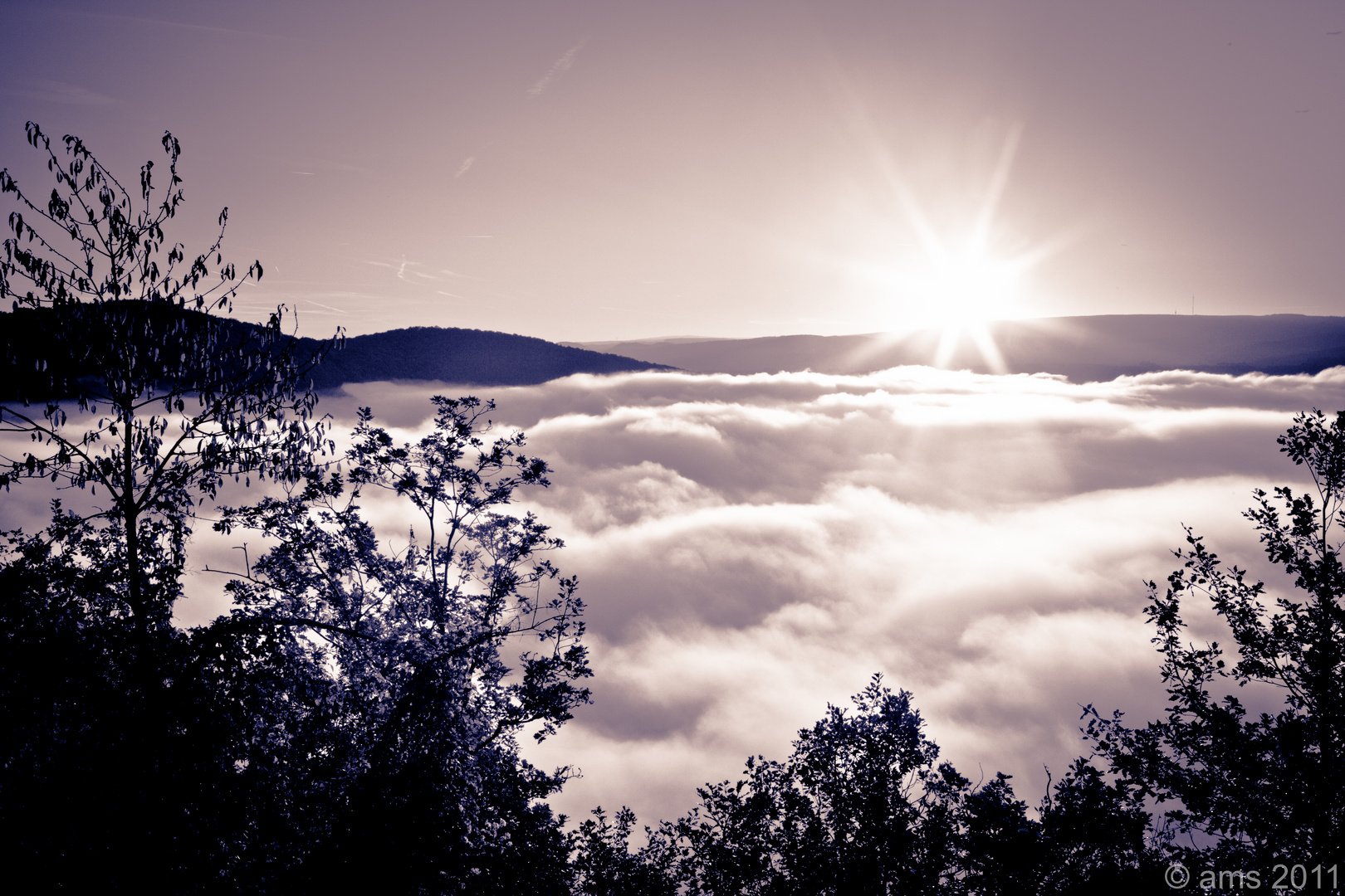 Fog over the river