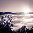 Fog over the river