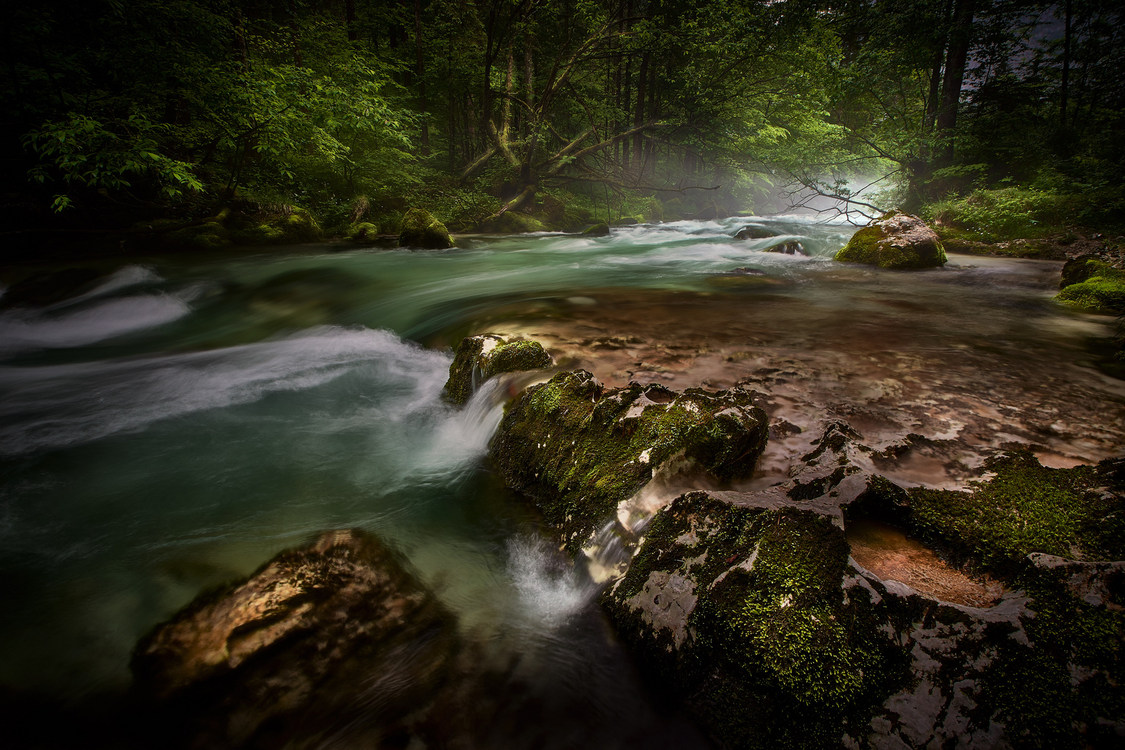 Fog over the river