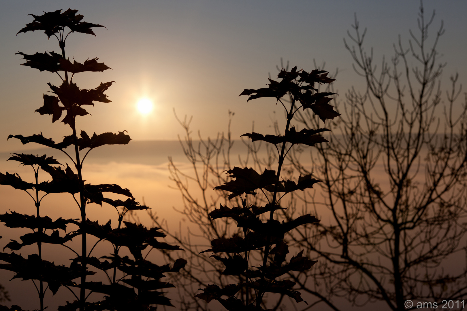 Fog over the river II