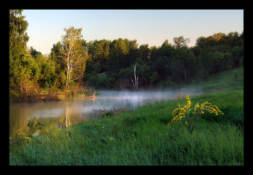 fog over the water